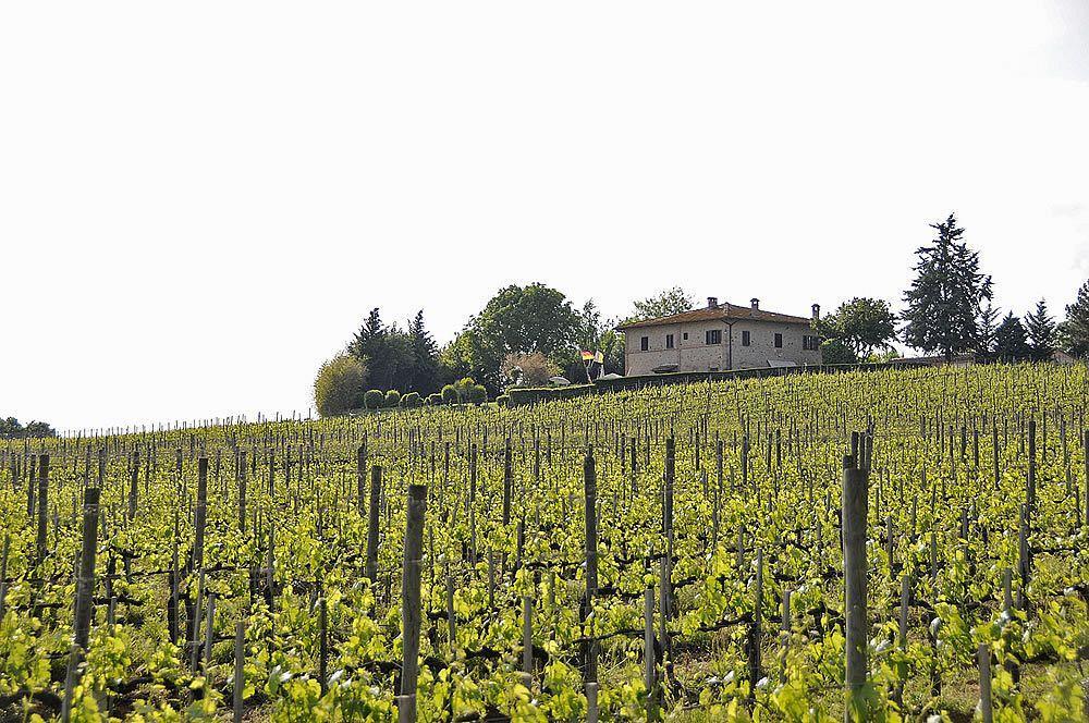 Il Colombaio, Siena -Appartamenti E Camere- Isola d'Arbia Zewnętrze zdjęcie