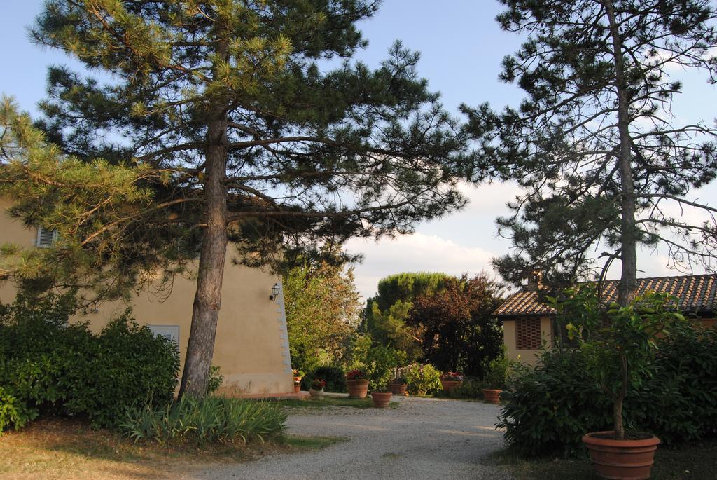 Il Colombaio, Siena -Appartamenti E Camere- Isola d'Arbia Zewnętrze zdjęcie