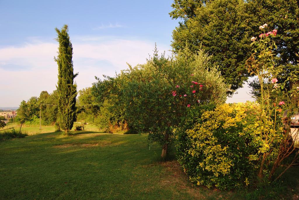 Il Colombaio, Siena -Appartamenti E Camere- Isola d'Arbia Zewnętrze zdjęcie