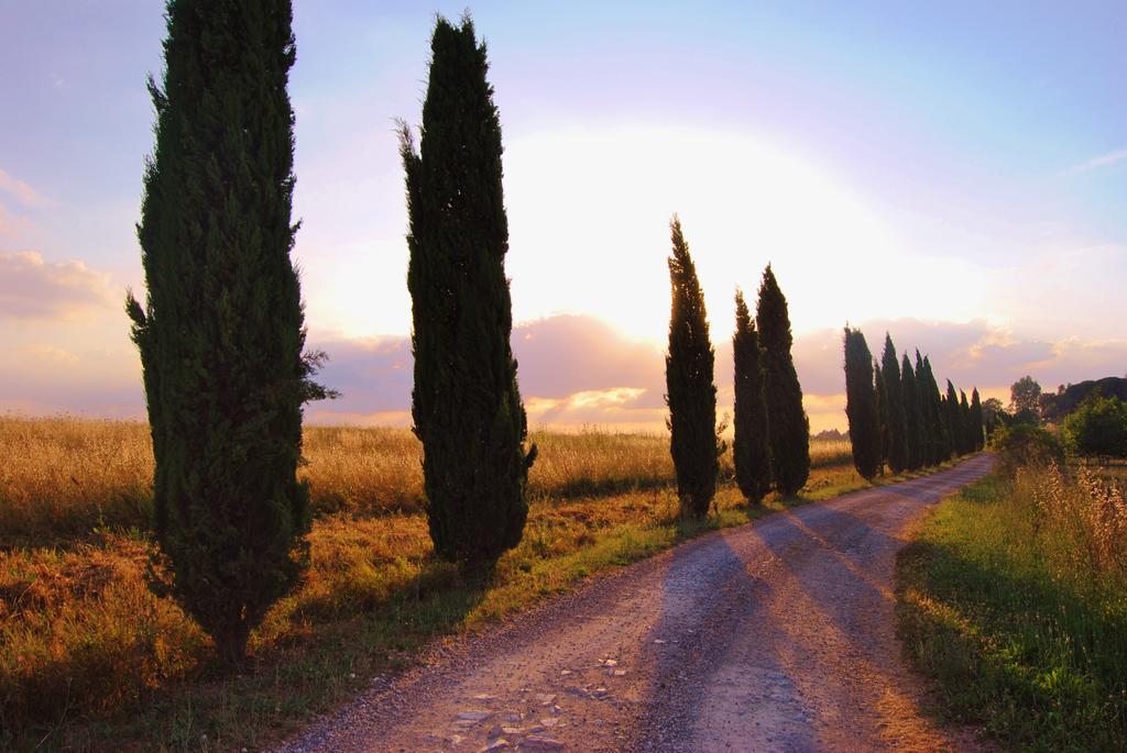 Il Colombaio, Siena -Appartamenti E Camere- Isola d'Arbia Zewnętrze zdjęcie